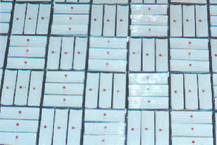 Large Panel with Multiple CRP's